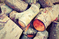 Prenderguest wood burning boiler costs